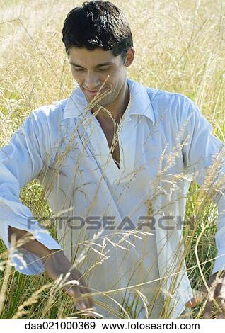 Stock Photo - Man walking through field, touching tall grass. Fotosearch