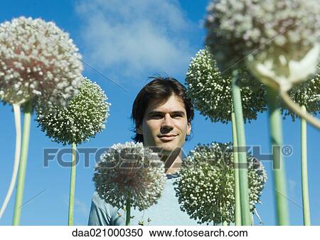 Man with allium flowers View Large Photo Image Stock Image - Man with allium flowers. Fotosearch