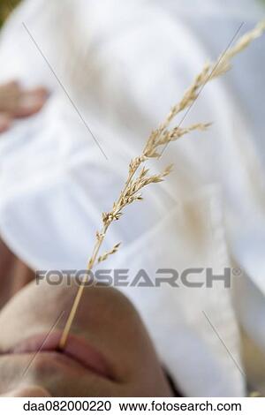 Stock Image - Man with sprig of weed in mouth, close-up. Fotosearch