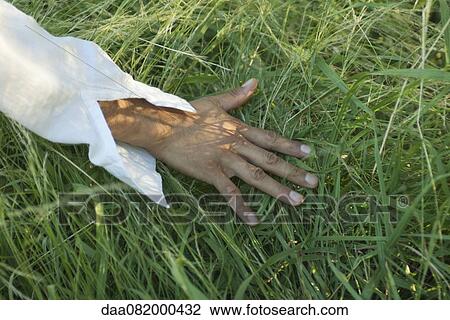 Stock Image - Man's hand touching grass, cropped. Fotosearch