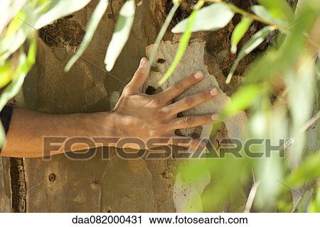 Stock Image - Man's hand touching tree bark, cropped. Fotosearch