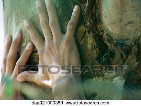 Man's hands on tree trunk, close-up View Large Photo Image Stock Photo - Man's hands on tree trunk, close-up. Fotosearch