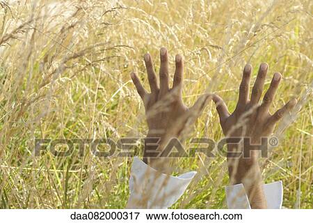 Stock Photo - Man's hands reaching up in field. Fotosearch