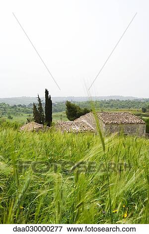 Mediterranean landscape with house View Large Photo Image Stock Photo - Mediterranean landscape with house. Fotosearch
