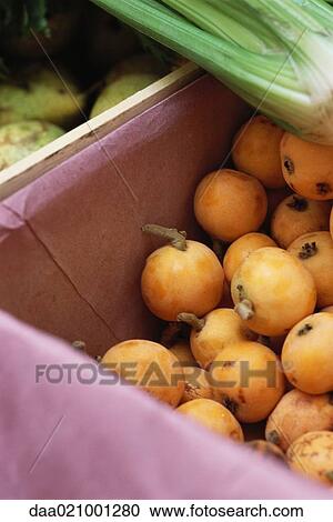 Medlar fruit in market stall View Large Photo Image Stock Image - Medlar fruit in market stall. Fotosearch