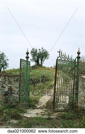 Metal gate at entrance to dirt driveway and olive trees in background View Large Photo Image Stock Image - Metal gate at entrance to dirt driveway and olive trees in background. Fotosearch