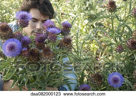 Mid-adult man in flowering thistle bush, eyes closed View Large Photo Image Stock Image - Mid-adult man in flowering thistle bush, eyes closed. Fotosearch