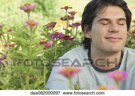 Mid-adult man in zinnia flowers with eyes closed, smiling View Large Photo Image Stock Photo - Mid-adult man in zinnia flowers with eyes closed, smiling. Fotosearch
