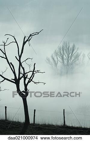 Misty landscape View Large Photo Image Picture - Misty landscape. Fotosearch