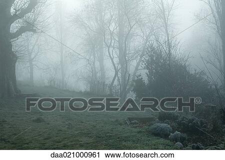 Misty landscape View Large Photo Image Stock Image - Misty landscape. Fotosearch