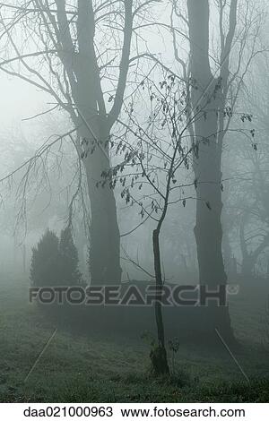 Misty landscape View Large Photo Image Stock Image - Misty landscape. Fotosearch
