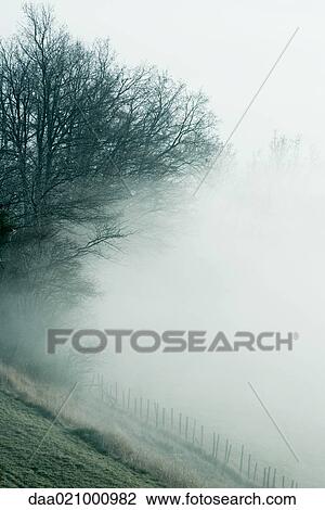 Misty landscape View Large Photo Image Stock Image - Misty landscape. Fotosearch