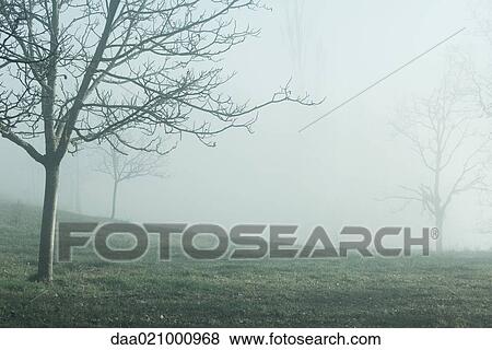 Stock Photo - Misty landscape. Fotosearch