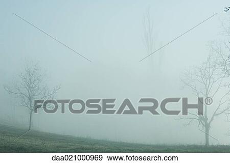 Misty landscape View Large Photo Image Stock Photo - Misty landscape. Fotosearch