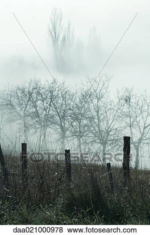 Misty landscape View Large Photo Image Stock Photo - Misty landscape. Fotosearch