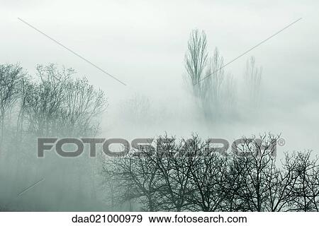 Misty landscape View Large Photo Image Stock Photo - Misty landscape. Fotosearch
