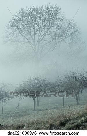 Misty landscape View Large Photo Image Stock Photograph - Misty landscape. Fotosearch