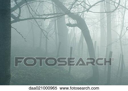 Misty landscape View Large Photo Image Stock Photography - Misty landscape. Fotosearch