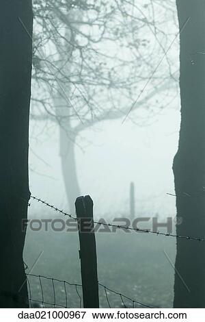Misty landscape with fence in foreground View Large Photo Image Stock Photo - Misty landscape with fence in foreground. Fotosearch