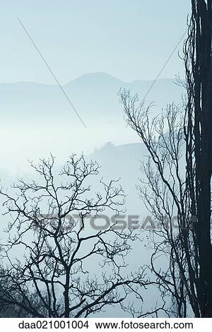 Picture - Misty mountain landscape. Fotosearch