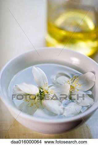 Picture - Mock orange flowers floating in bowl and bottle of massage oil. Fotosearch