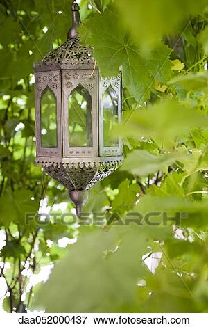 Moroccan lantern against background of lush foliage View Large Photo Image Stock Photo - Moroccan lantern against background of lush foliage. Fotosearch