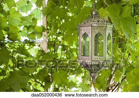 Stock Photograph - Moroccan lantern against background of lush foliage. Fotosearch
