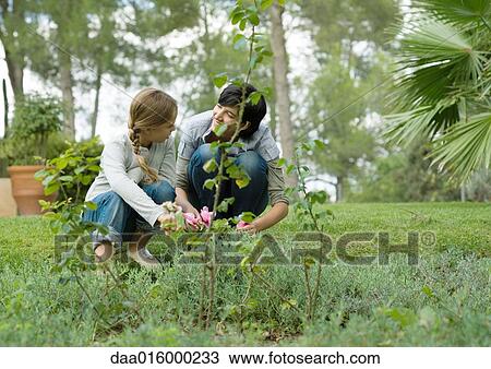 Mother and daughter gardening together View Large Photo Image Stock Image - Mother and daughter gardening together. Fotosearch