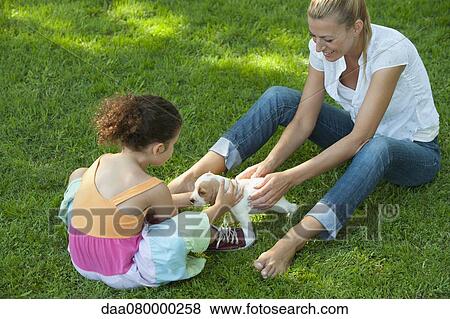 Mother and daughter sitting on grass playing with beagle puppy View Large Photo Image Stock Photo - Mother and daughter sitting on grass playing with beagle puppy. Fotosearch