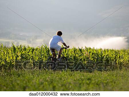 Mountain biker riding through field View Large Photo Image Stock Image - Mountain biker riding through field. Fotosearch