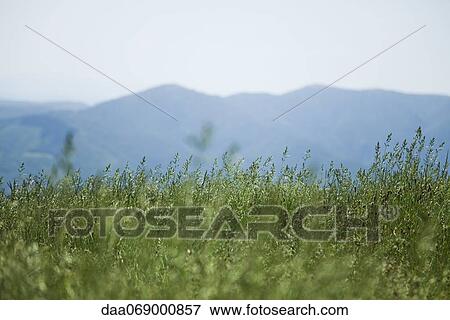Stock Photo - Mountain range. Fotosearch