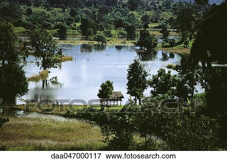 Myanmar (Burma), wetland landscape View Large Photo Image Stock Photo - Myanmar (Burma), wetland landscape. Fotosearch