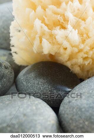 Natural sponge and stones, extreme close-up View Large Photo Image Stock Image - Natural sponge and stones, extreme close-up. Fotosearch
