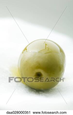 Olive on cotton cosmetic pad View Large Photo Image Stock Image - Olive on cotton cosmetic pad. Fotosearch