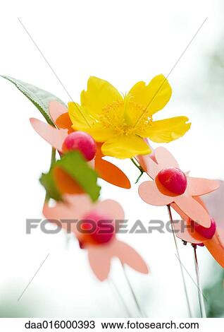 One real flower among artifial flowers View Large Photo Image Stock Image - One real flower among artifial flowers. Fotosearch