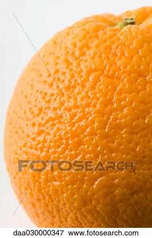Stock Photo - Orange, extreme close-up. Fotosearch