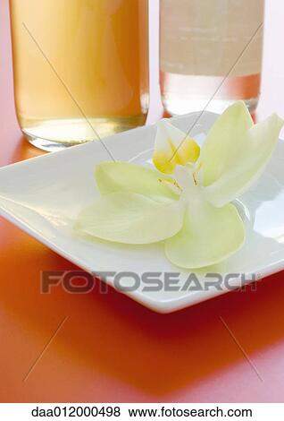 Stock Photo - Orchid head on dish, bottles in background. Fotosearch