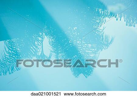Stock Image - Palm tree reflected in surface of water. Fotosearch