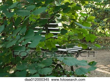 Stock Photography - Park bench seen through foliage. Fotosearch