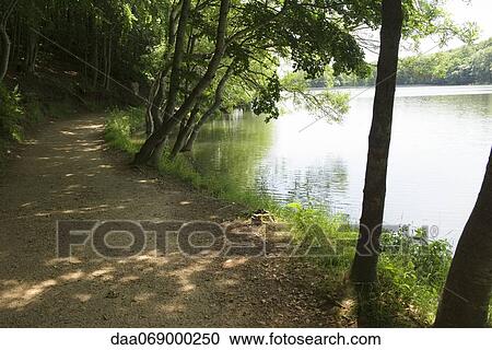 Path along lake View Large Photo Image Stock Image - Path along lake. Fotosearch