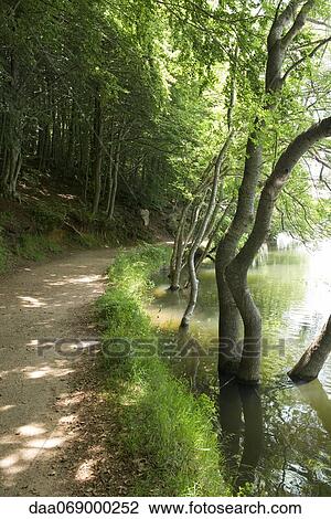Path in woods along lake View Large Photo Image Stock Image - Path in woods along lake. Fotosearch