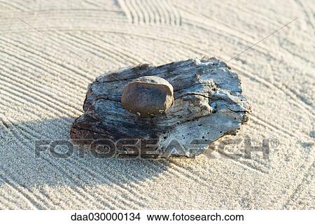 Pebble and driftwood on raked sand View Large Photo Image Picture - Pebble and driftwood on raked sand. Fotosearch