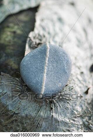 Pebble on wood View Large Photo Image Stock Photo - Pebble on wood. Fotosearch