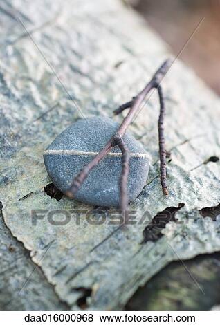 Pebble, twig and bark View Large Photo Image Stock Photo - Pebble, twig and bark. Fotosearch