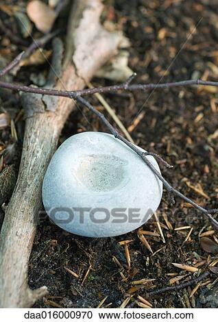 Pebble, twig and branch on ground View Large Photo Image Stock Image - Pebble, twig and branch on ground. Fotosearch