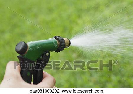 Person using spray nozzle on garden hose to water lawn, cropped View Large Photo Image Stock Image - Person using spray nozzle on garden hose to water lawn, cropped. Fotosearch