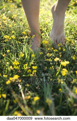 Person walking barefoot in field of wildflowers, cropped View Large Photo Image Stock Photo - Person walking barefoot in field of wildflowers, cropped. Fotosearch
