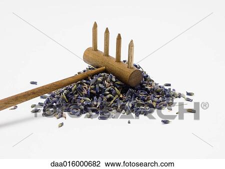 Pile of dried lavender and rake View Large Photo Image Stock Image - Pile of dried lavender and rake. Fotosearch