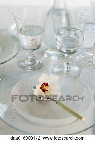 Place setting with hibiscus flower View Large Photo Image Stock Image - Place setting with hibiscus flower. Fotosearch