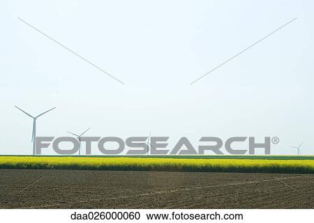 Plowed field with row of wind turbines in the distance View Large Photo Image Stock Image - Plowed field with row of wind turbines in the distance. Fotosearch